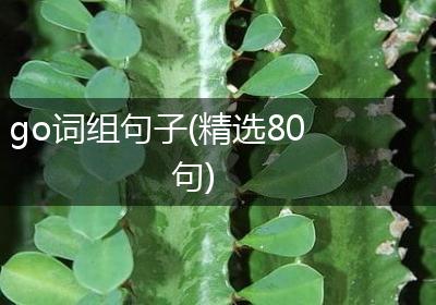 go词组句子(精选80句)
