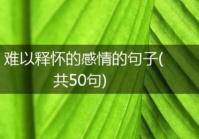 难以释怀的感情的句子(共50句)