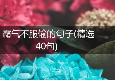 霸气不服输的句子(精选40句)