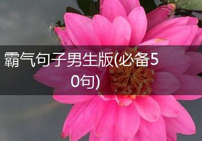 霸气句子男生版(必备50句)