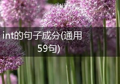 int的句子成分(通用59句)