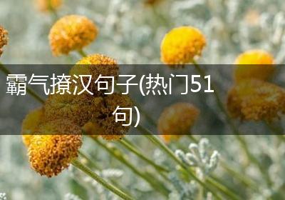 霸气撩汉句子(热门51句)