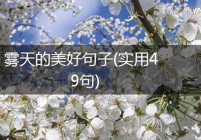 雾天的美好句子(实用49句)