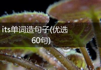 its单词造句子(优选60句)