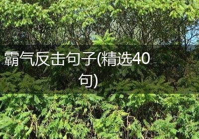 霸气反击句子(精选40句)