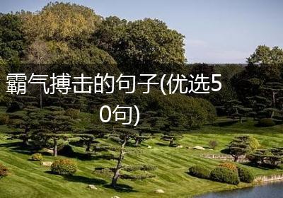 霸气搏击的句子(优选50句)