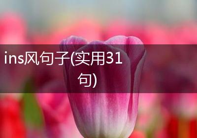 ins风句子(实用31句)