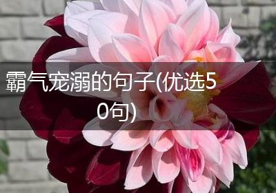 霸气宠溺的句子(优选50句)