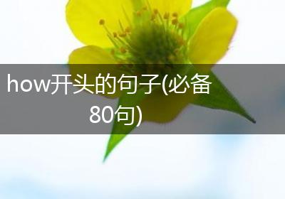 how开头的句子(必备80句)