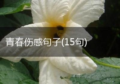 青春伤感句子(15句)