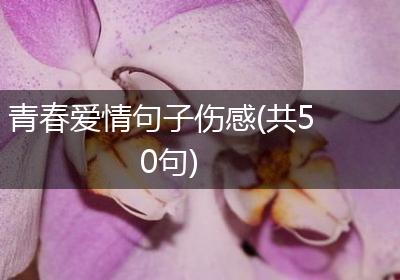 青春爱情句子伤感(共50句)
