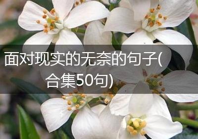 面对现实的无奈的句子(合集50句)