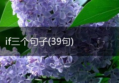 if三个句子(39句)