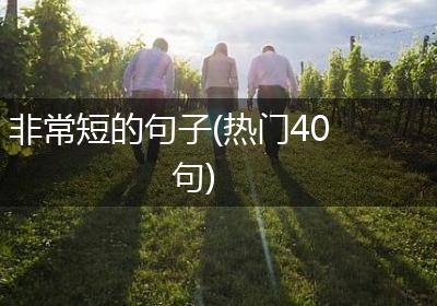 非常短的句子(热门40句)