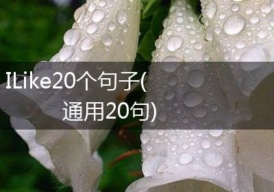 ILike20个句子(通用20句)