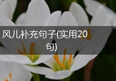 风儿补充句子(实用20句)