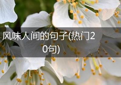 风味人间的句子(热门20句)