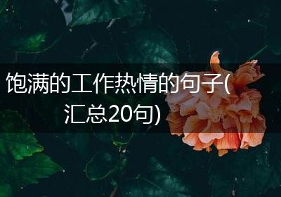 饱满的工作热情的句子(汇总20句)
