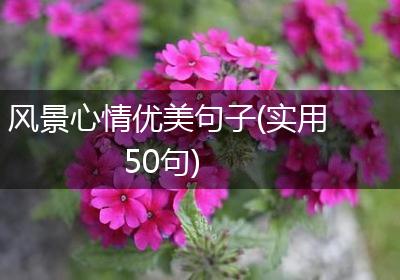 风景心情优美句子(实用50句)