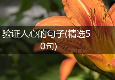 验证人心的句子(精选50句)