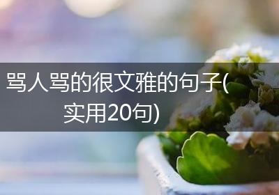 骂人骂的很文雅的句子(实用20句)
