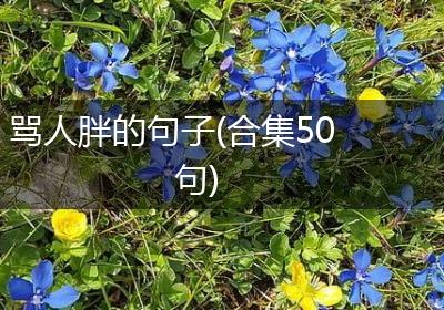 骂人胖的句子(合集50句)