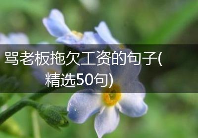 骂老板拖欠工资的句子(精选50句)