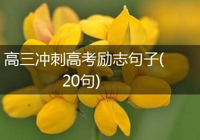 高三冲刺高考励志句子(20句)