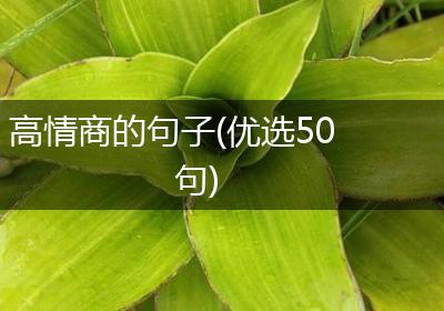 高情商的句子(优选50句)