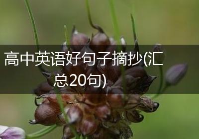 高中英语好句子摘抄(汇总20句)