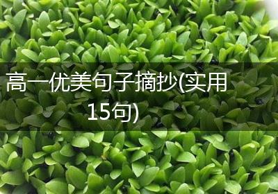 高一优美句子摘抄(实用15句)