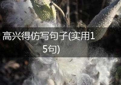 高兴得仿写句子(实用15句)