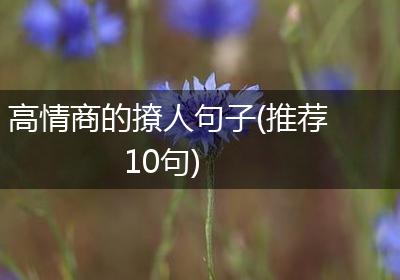 高情商的撩人句子(推荐10句)