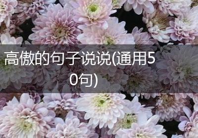 高傲的句子说说(通用50句)