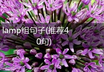 lamp组句子(推荐40句)