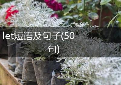 let短语及句子(50句)