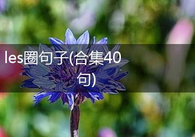 les圈句子(合集40句)