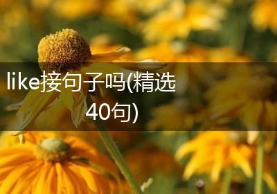 like接句子吗(精选40句)