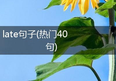 late句子(热门40句)