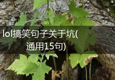 lol搞笑句子关于坑(通用15句)