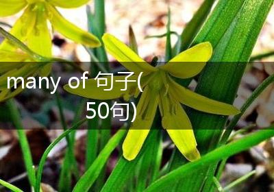 many of 句子(50句)