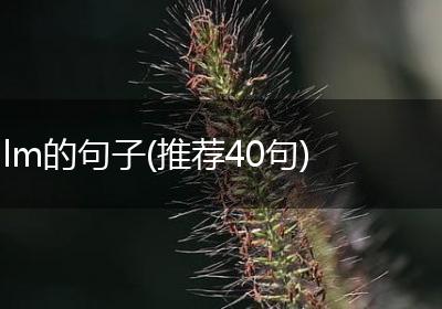 lm的句子(推荐40句)