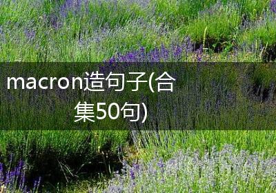 macron造句子(合集50句)