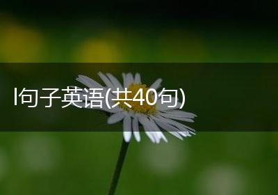 l句子英语(共40句)