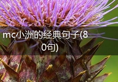 mc小洲的经典句子(80句)
