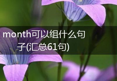 month可以组什么句子(汇总61句)