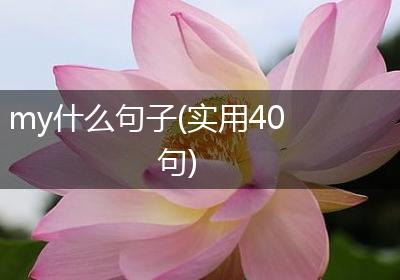 my什么句子(实用40句)