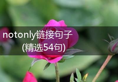 notonly链接句子(精选54句)