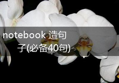 notebook 造句子(必备40句)