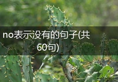 no表示没有的句子(共60句)